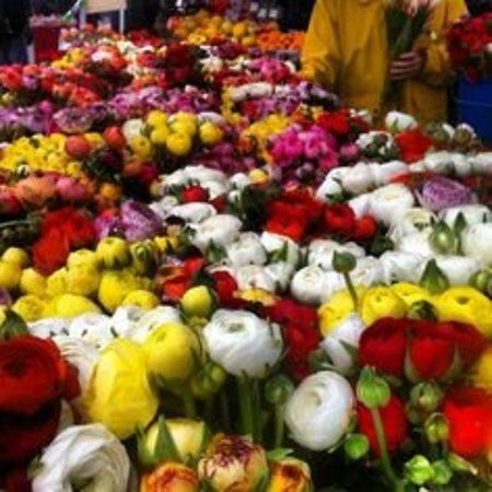 Little Italy Mercato Farmers' Market